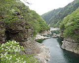 ほぼラジオ！ 2013年5月29日配信　その2