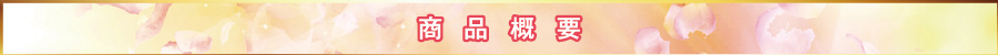small_title2